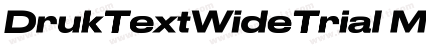 DrukTextWideTrial Medium字体转换